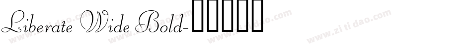 Liberate Wide Bold字体转换